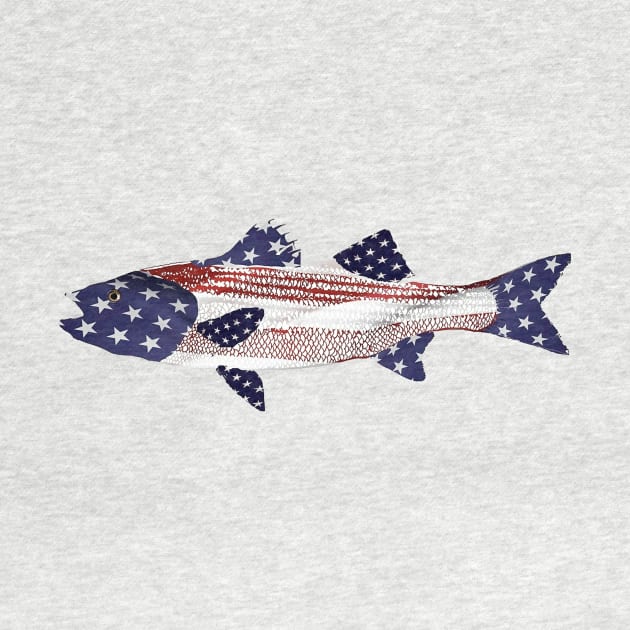 Striped BAss American flag style by Hook Ink